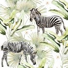 CLA zebras in the jungle